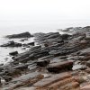 GeoPark (62)